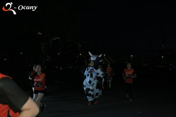 RUN TO LIVE 2025 - Ảnh #3282384