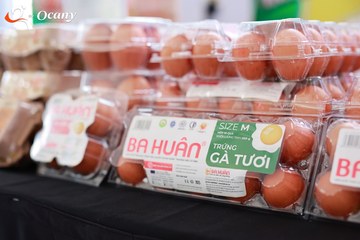 RUN TO LIVE 2025 - Ảnh #3122796
