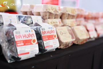RUN TO LIVE 2025 - Ảnh #3122795