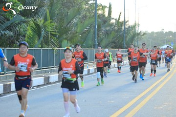 RUN TO LIVE 2025 - Ảnh #3297470