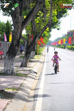 Ảnh sự kiện VIET NAM TRI FACTOR CHAMPIONSHIP x HO CHI MINH CITY CHAMPIONSHIP NĂM 2025 - 3ed2c53eedd5a2ba33972e46c54cb28b.jpg