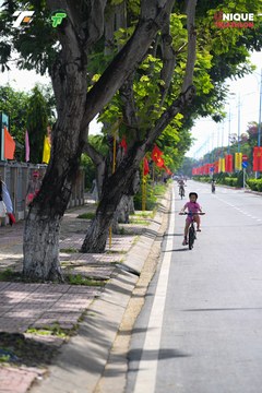 Ảnh sự kiện VIET NAM TRI FACTOR CHAMPIONSHIP x HO CHI MINH CITY CHAMPIONSHIP NĂM 2025 - 402b20ce31e213b628e4fd7ac03b17ac.jpg