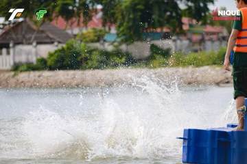 Ảnh sự kiện VIET NAM TRI FACTOR CHAMPIONSHIP x HO CHI MINH CITY CHAMPIONSHIP NĂM 2025 - a7639fc88cc14aa14c894dce636204bd.jpg