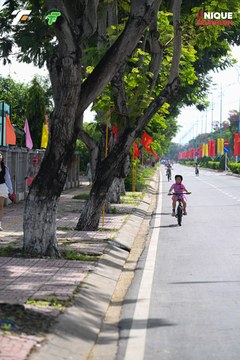 Ảnh sự kiện VIET NAM TRI FACTOR CHAMPIONSHIP x HO CHI MINH CITY CHAMPIONSHIP NĂM 2025 - fccafb4804bb6a66a513934e626dda5b.jpg