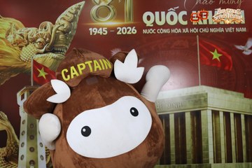 AMAZING SPORTS FESTIVAL - Ảnh #5314858