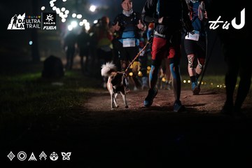 Dalat Ultra Trail 2026 - Ảnh #4716738