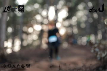 Dalat Ultra Trail 2026 - Ảnh #4740979