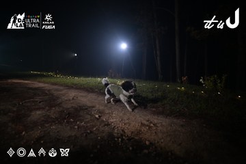 Dalat Ultra Trail 2026 - Ảnh #4704903