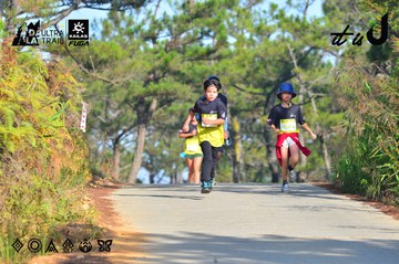 Dalat Ultra Trail 2026 - Ảnh #4781065