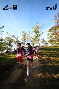 Dalat Ultra Trail 2026 - Ảnh #4910797