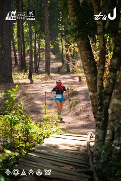 Dalat Ultra Trail 2026 - Ảnh #4908593