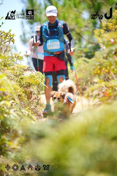 Dalat Ultra Trail 2026 - Ảnh #4913078