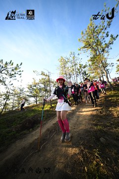 Dalat Ultra Trail 2026 - Ảnh #4910800