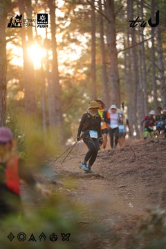 Dalat Ultra Trail 2026 - Ảnh #4913563