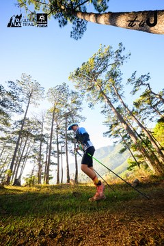 Dalat Ultra Trail 2026 - Ảnh #4912499