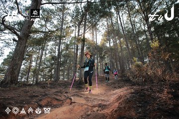 Dalat Ultra Trail 2026 - Ảnh #4740029