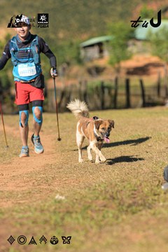Dalat Ultra Trail 2026 - Ảnh #4714767