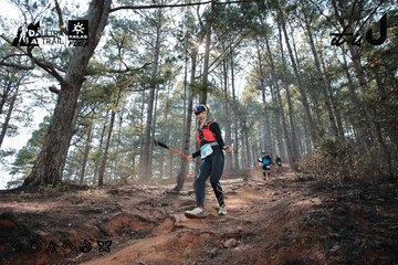 Dalat Ultra Trail 2026 - Ảnh #4739705