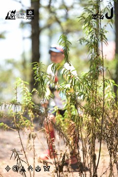Dalat Ultra Trail 2026 - Ảnh #4717896