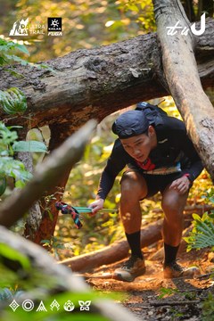 Dalat Ultra Trail 2026 - Ảnh #4913492