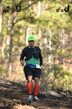 Dalat Ultra Trail 2026 - Ảnh #4879004