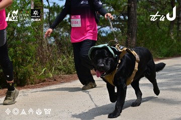 Dalat Ultra Trail 2026 - Ảnh #4831094
