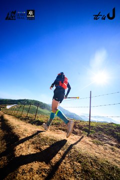 Dalat Ultra Trail 2026 - Ảnh #4912652