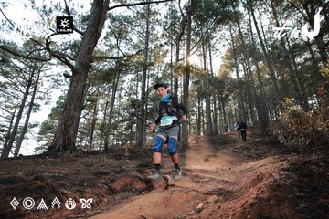 Dalat Ultra Trail 2026 - Ảnh #4740052