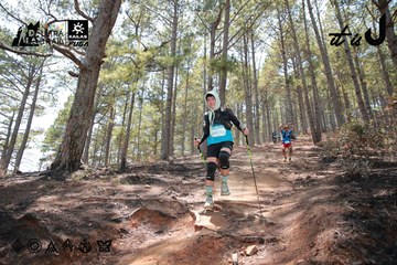 Dalat Ultra Trail 2026 - Ảnh #4738808