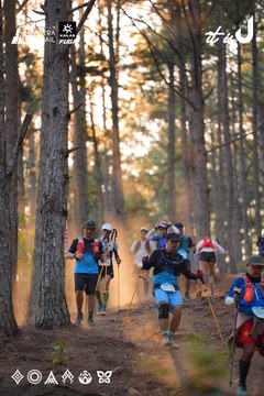 Dalat Ultra Trail 2026 - Ảnh #4913543
