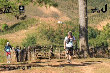Dalat Ultra Trail 2026 - Ảnh #4714750