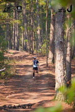 Dalat Ultra Trail 2026 - Ảnh #4913363