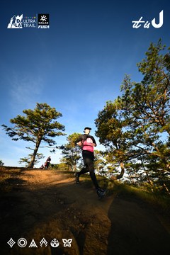 Dalat Ultra Trail 2026 - Ảnh #4909835