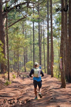 Dalat Ultra Trail 2026 - Ảnh #4913309