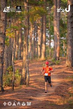 Dalat Ultra Trail 2026 - Ảnh #4913519