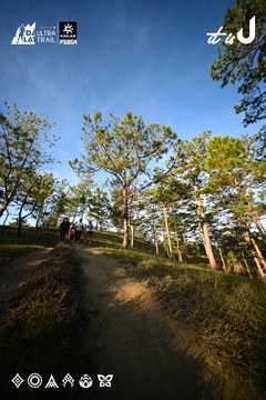 Dalat Ultra Trail 2026 - Ảnh #4910370