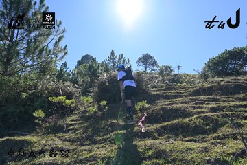 Dalat Ultra Trail 2026 - Ảnh #4731758