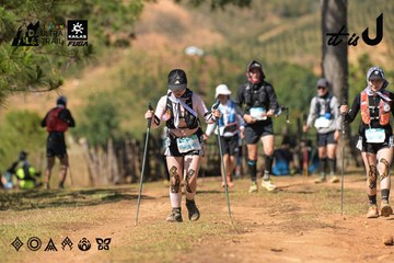 Dalat Ultra Trail 2026 - Ảnh #4717020