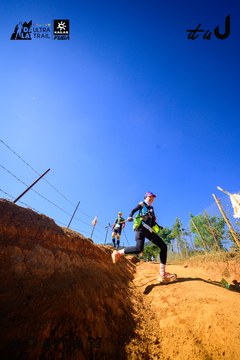 Dalat Ultra Trail 2026 - Ảnh #4912547
