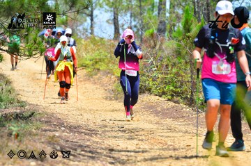 Dalat Ultra Trail 2026 - Ảnh #4877070