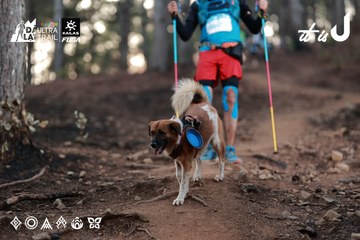 Dalat Ultra Trail 2026 - Ảnh #4741221