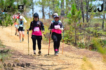 Dalat Ultra Trail 2026 - Ảnh #4876997