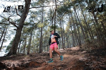 Dalat Ultra Trail 2026 - Ảnh #4739303