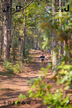 Dalat Ultra Trail 2026 - Ảnh #4913360