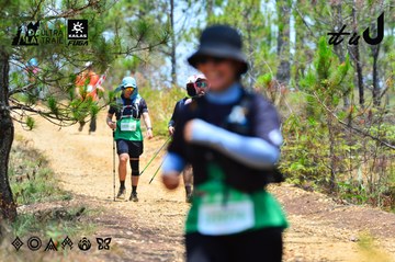 Dalat Ultra Trail 2026 - Ảnh #4877302