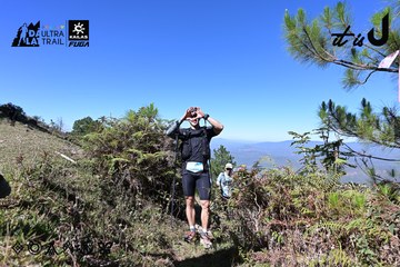 Dalat Ultra Trail 2026 - Ảnh #4733800