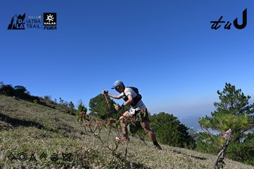 Dalat Ultra Trail 2026 - Ảnh #4734149