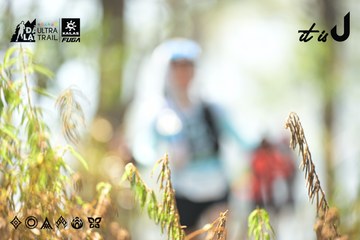 Dalat Ultra Trail 2026 - Ảnh #4705597