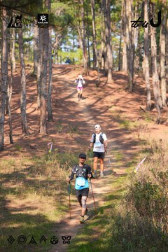 Dalat Ultra Trail 2026 - Ảnh #4913435