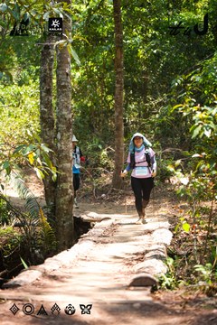 Dalat Ultra Trail 2026 - Ảnh #4908613